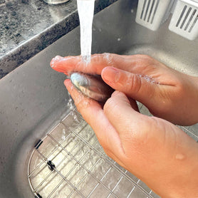 Stainless Steel Soap