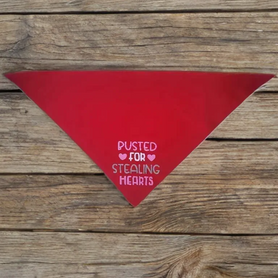 Busted for stealing hearts tie on, triangle dog / pet bandana. You choose bandana color! Valentine's Day gift