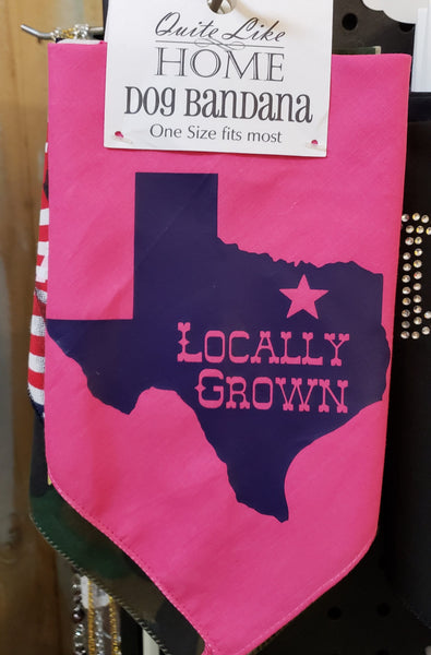Locally grown (Texas) tie on, triangle shaped dog / pet bandana
