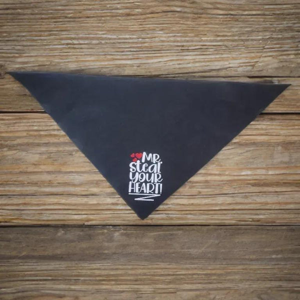 Mr. Steal Your Heart tie on, triangle dog / pet bandana. Valentine's Day gift for your doggo!