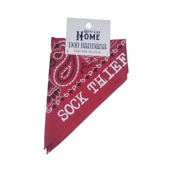 Sock Thief tie on dog / pet bandana