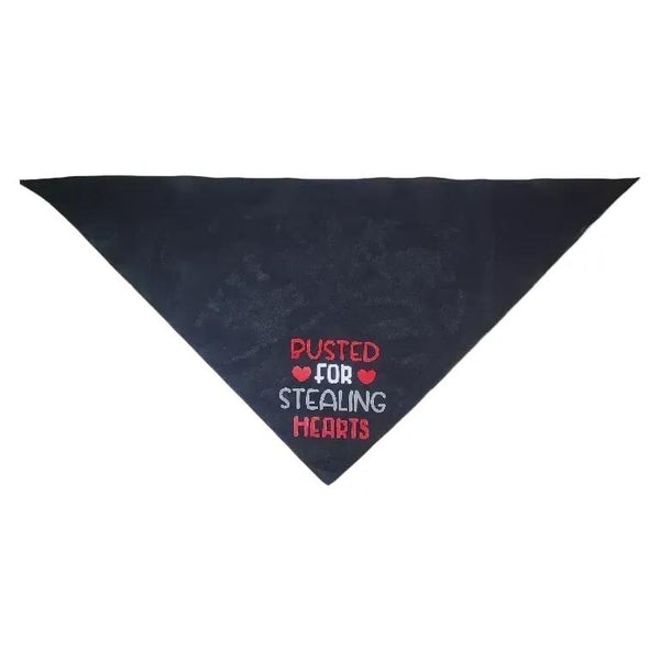 Busted for stealing hearts tie on, triangle dog / pet bandana. You choose bandana color! Valentine's Day gift