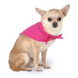Glitter "Diva" with paw tie on dog / pet bandana