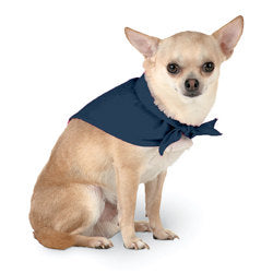 Rebel without a bone tie on dog / pet bandana